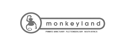 Monkey Land